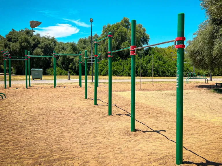 Parque de Calistenia Parque Del Alamillo