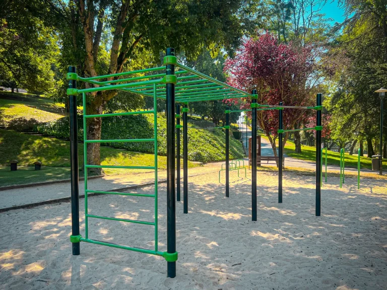 Parque de Calistenia Parque Rosalía De Castro