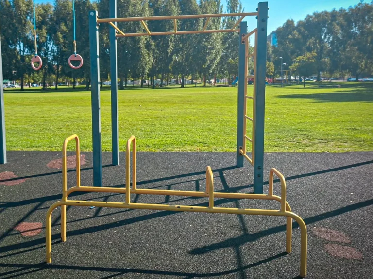 Parque de Calistenia Parque Santos Ovejero
